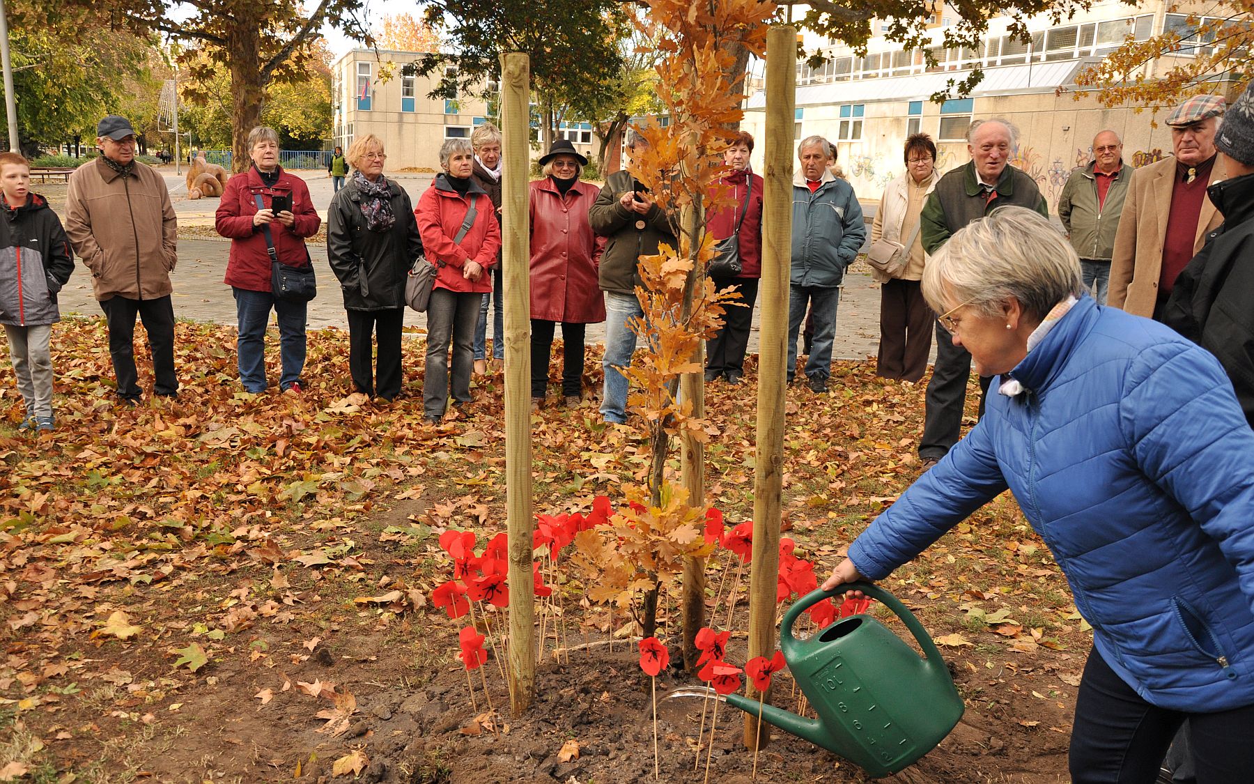Faültetés a Nagy Háború lezárultának 100. évfordulóján